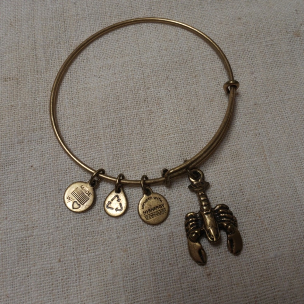 ✨3 for $10✨ Alex and Ani Bracelet